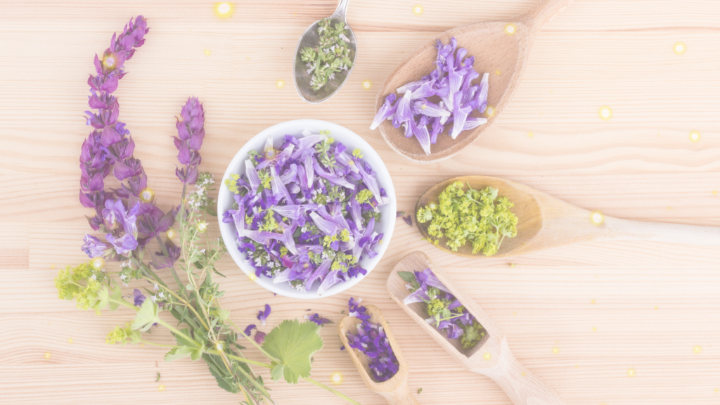 image of bowls of foraged edible flowers arranged in a circle